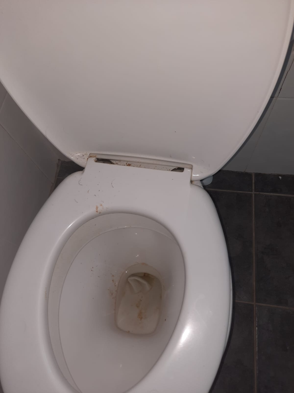 Toilet Before